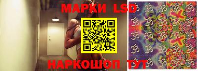 индика Краснознаменск