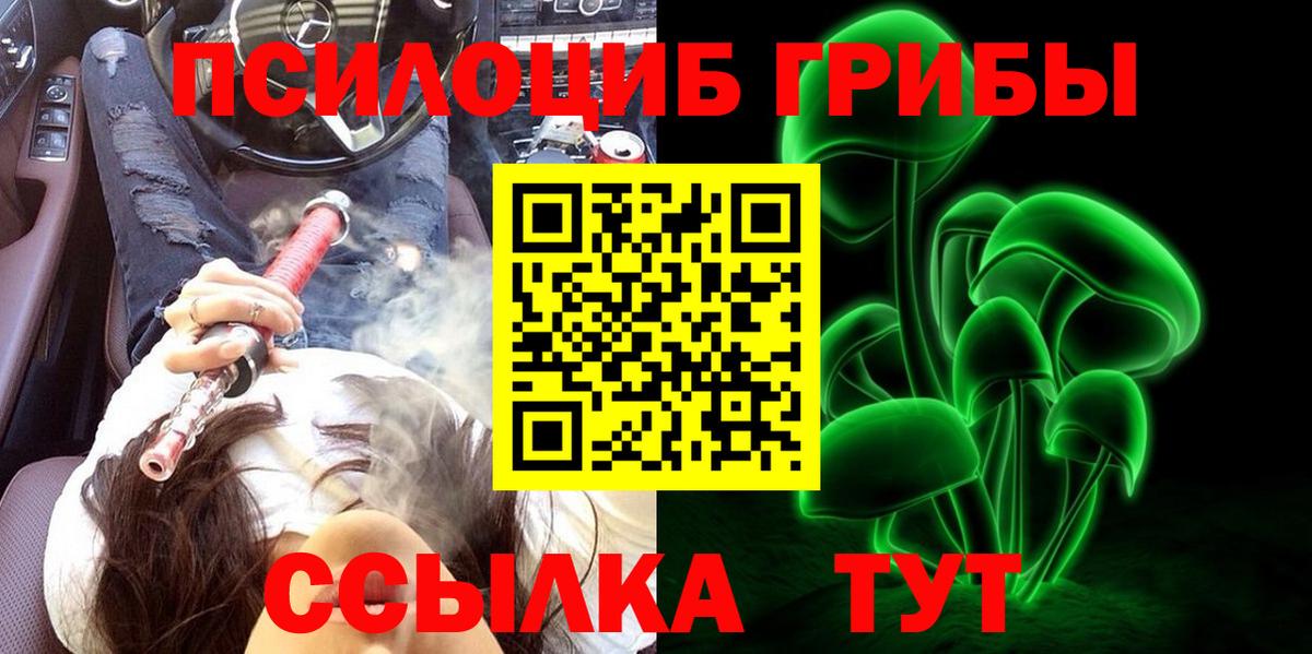 где купить наркоту  Вход с VPN  Кольчугино  Галлюциногенные грибы MAGIC MUSHROOMS 