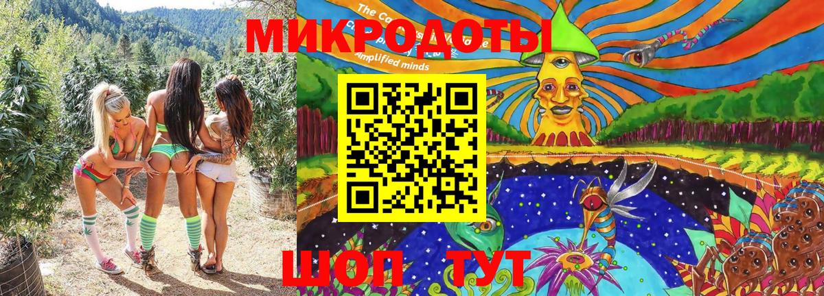 Псилоцибиновые грибы Cubensis Кольчугино